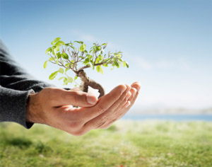 pre menopause symptoms pre menopause symptoms