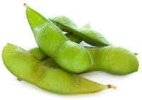 soy bean